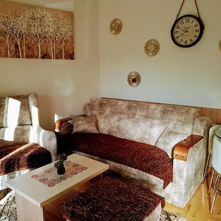 Apartment Pejnovic Zlatibor