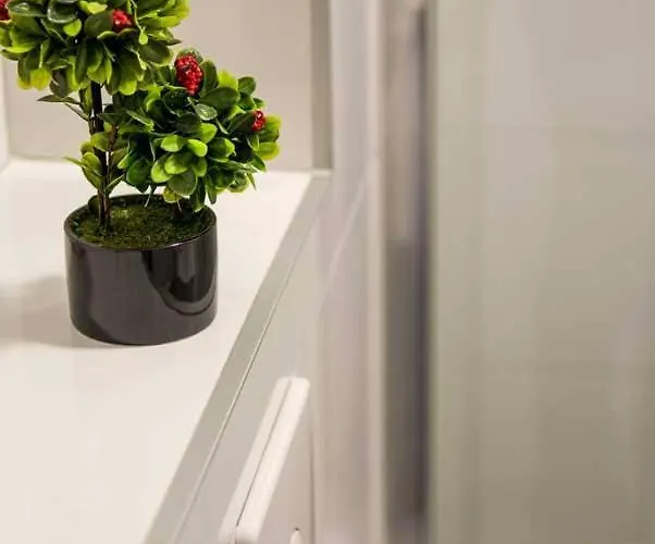 Pejnovic Διαμέρισμα Ζλάτιμπορ